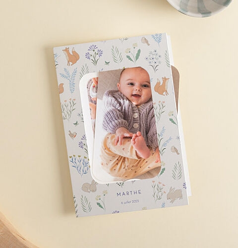 Faire-part de naissance