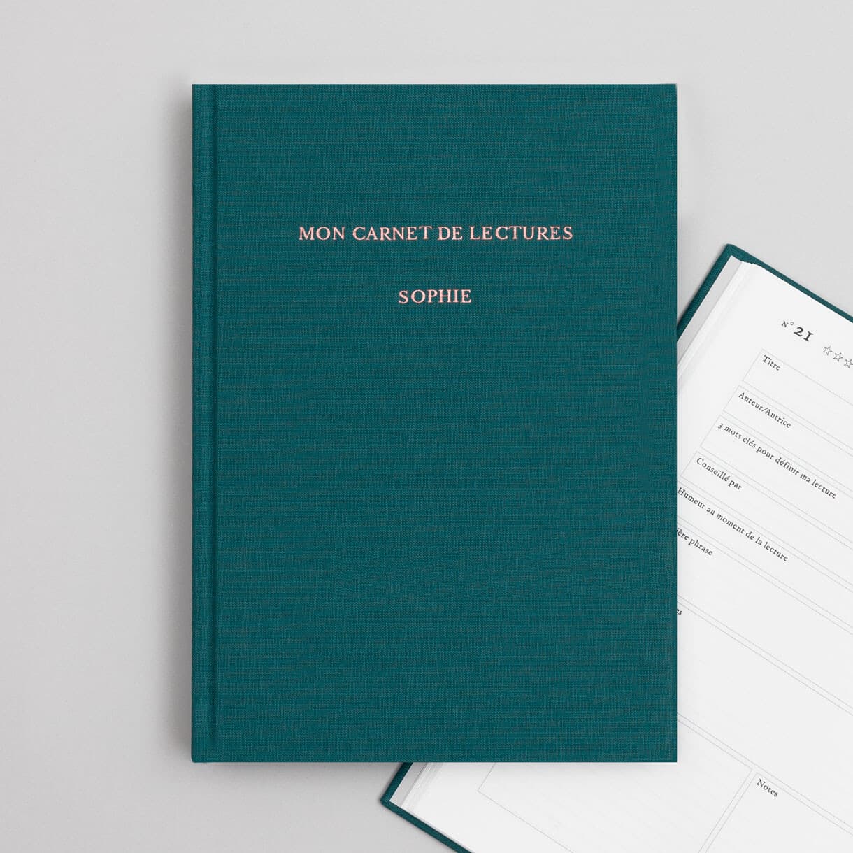 Carnet de lectures Sophie Astrabie x Atelier Rosemood