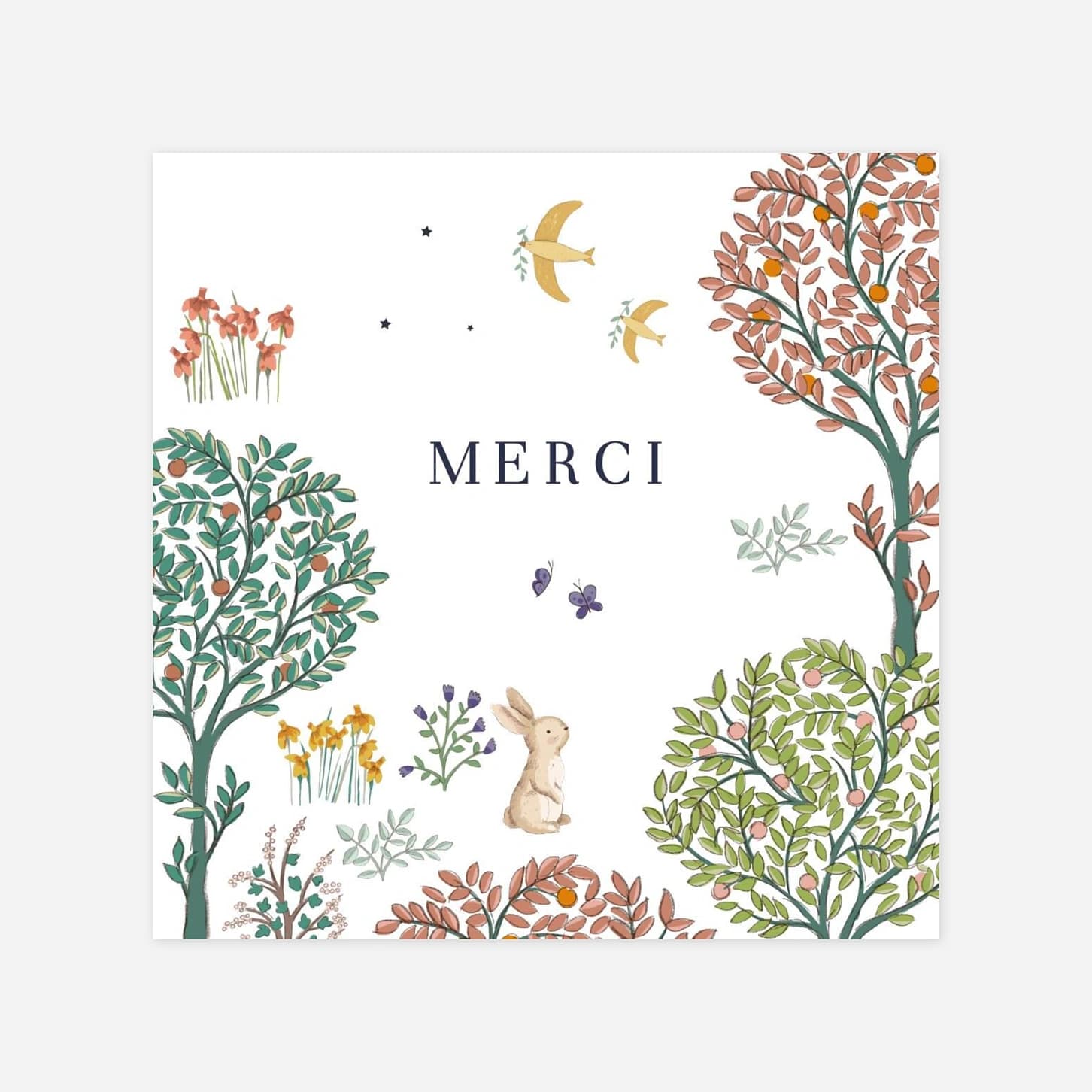 Carte remerciement naissance Histoire du jardin