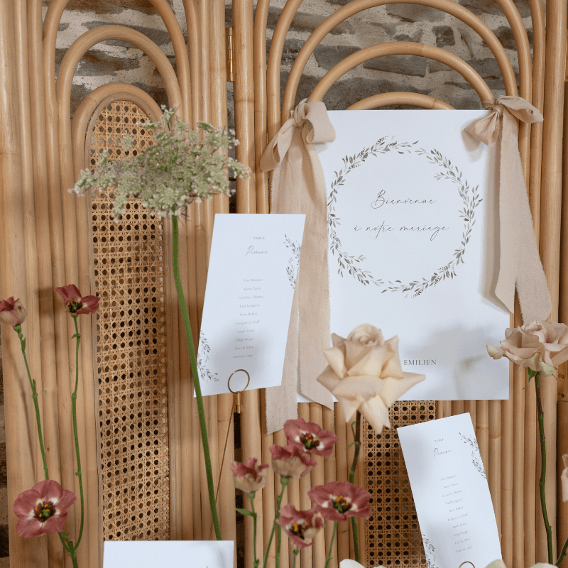 À propos de Ô bonheur des dames