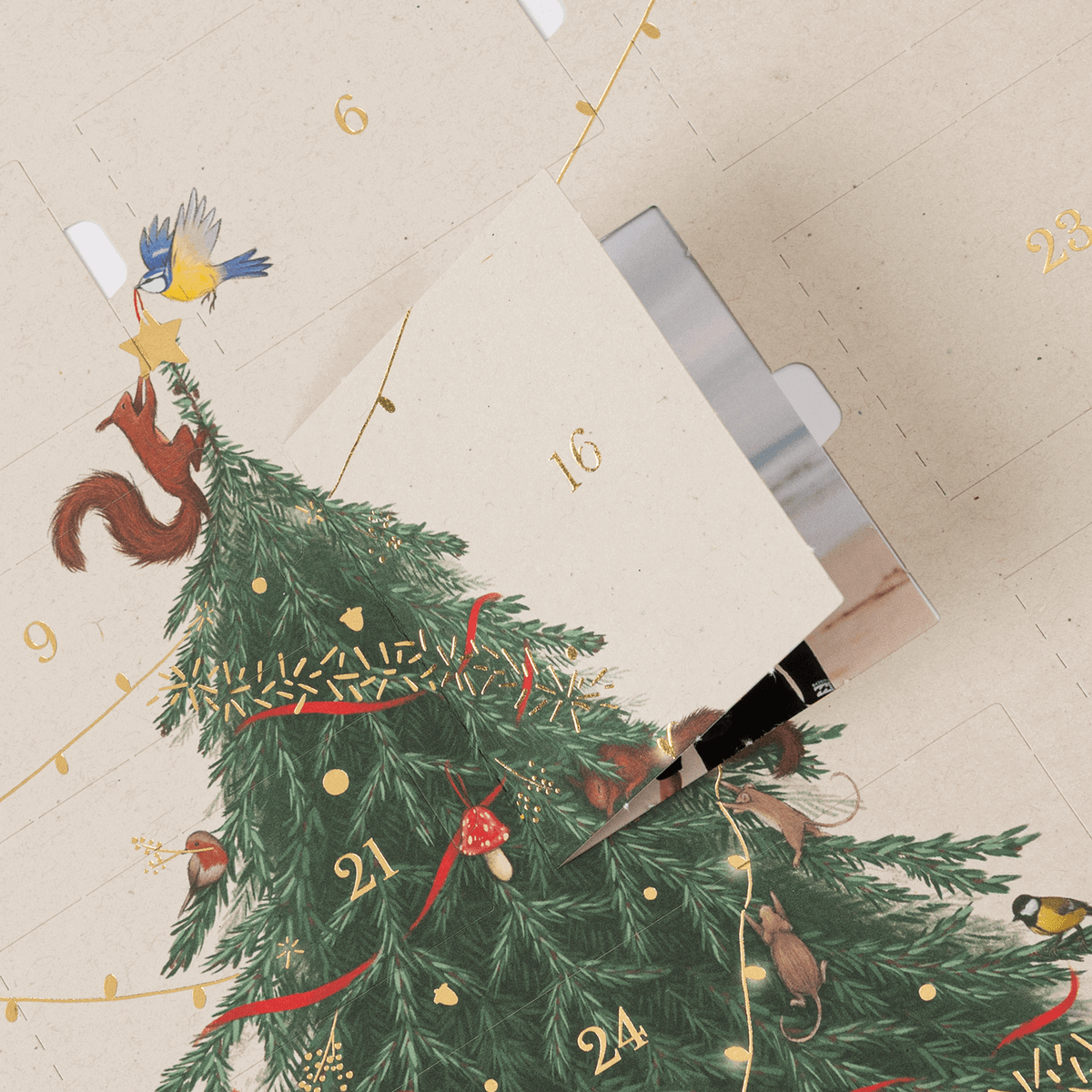 Calendrier de l'Avent Le Noël des animaux