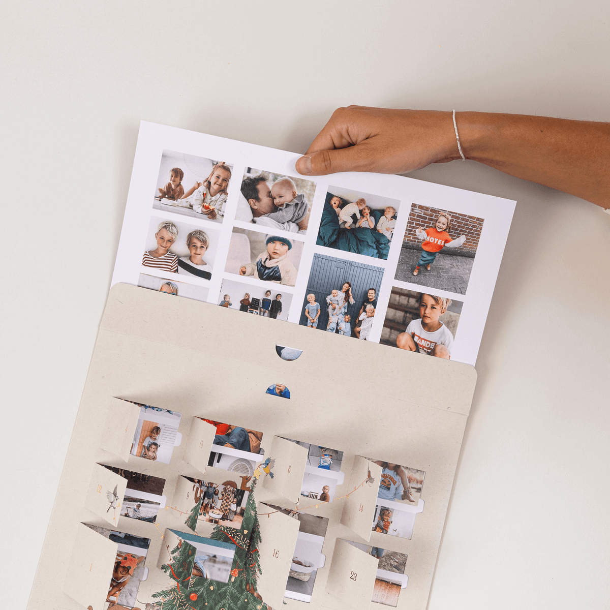 Calendrier de l'Avent Le Noël des animaux