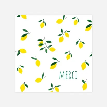 Agrumes crayonnées II