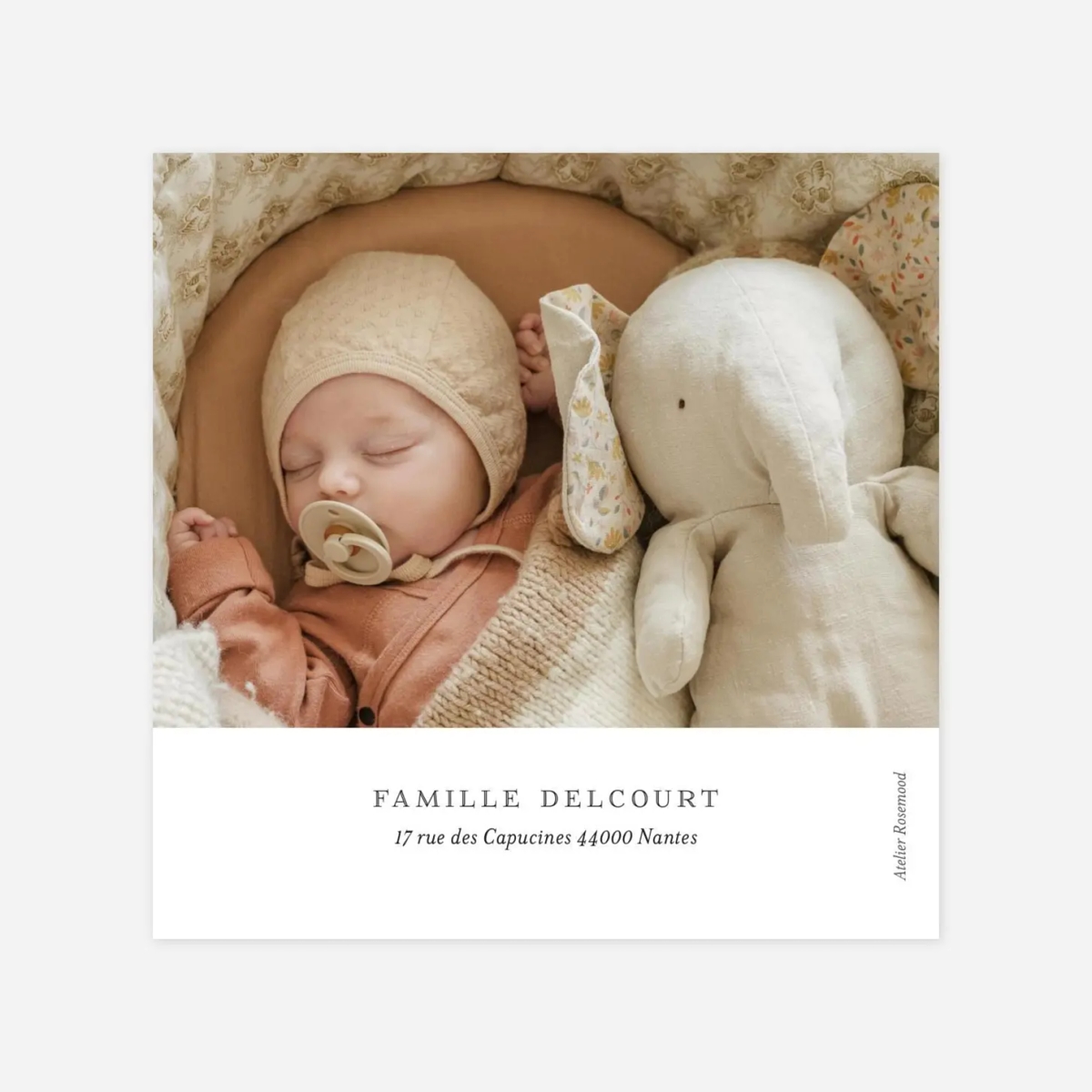 Carte remerciement naissance Aquarelle végétale