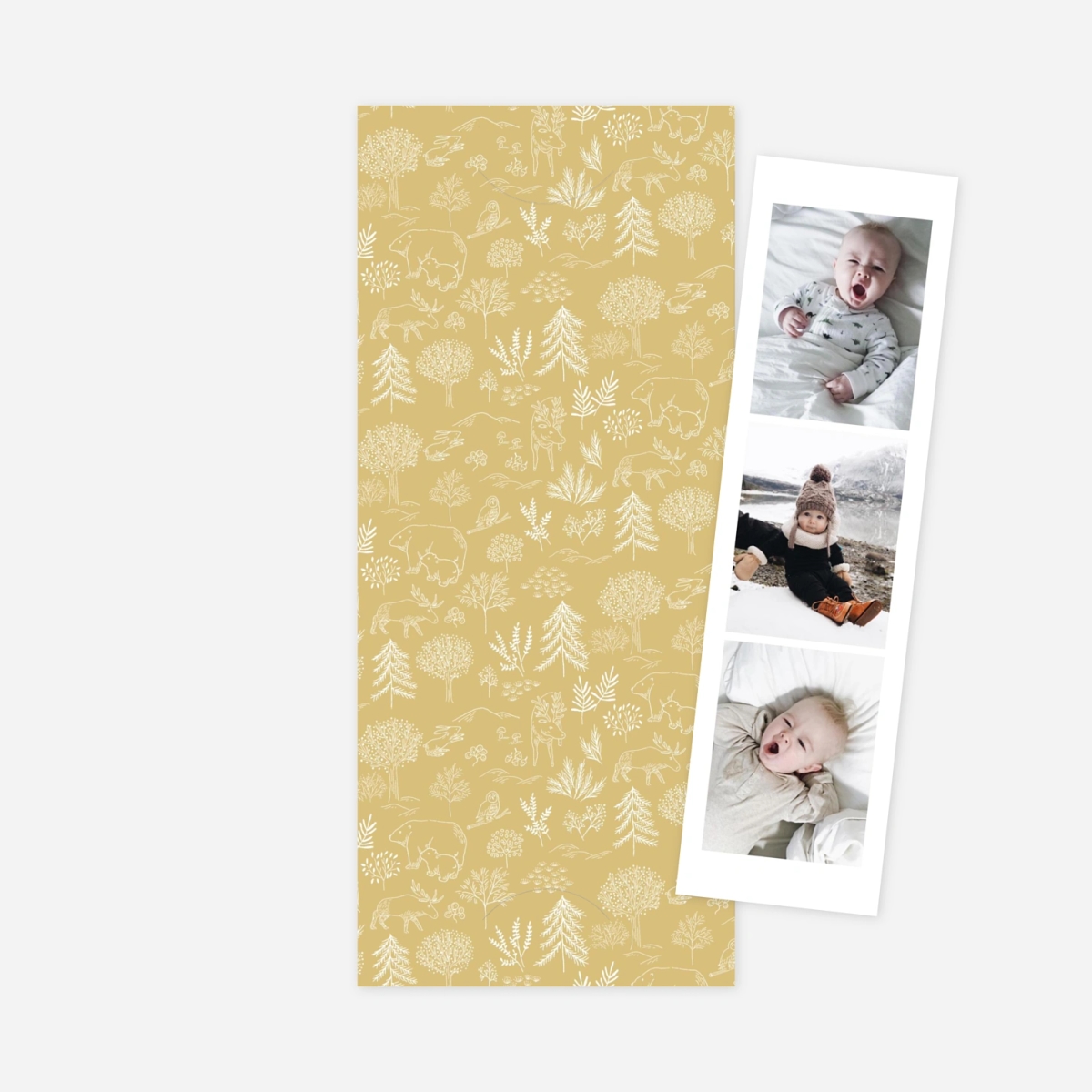 Faire-part naissance Boréal