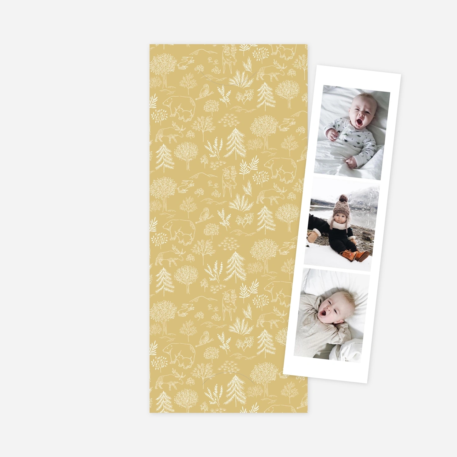 Faire-part naissance Boréal