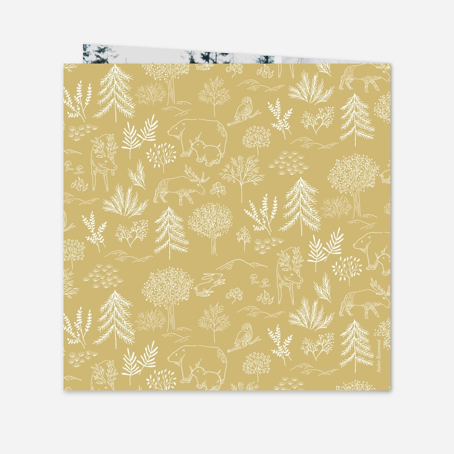 Faire-part naissance Boréal