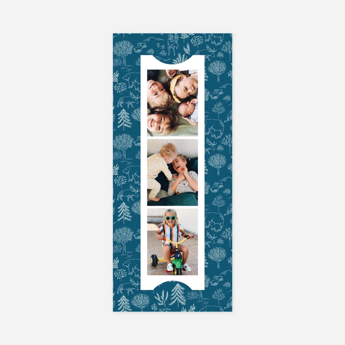 Carte de voeux Boréal