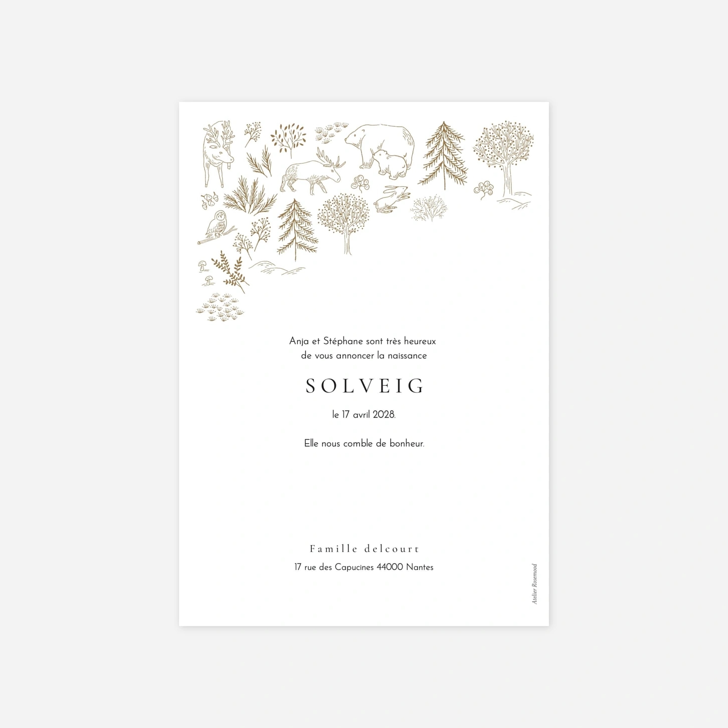 Faire-part naissance Boréal multiphoto