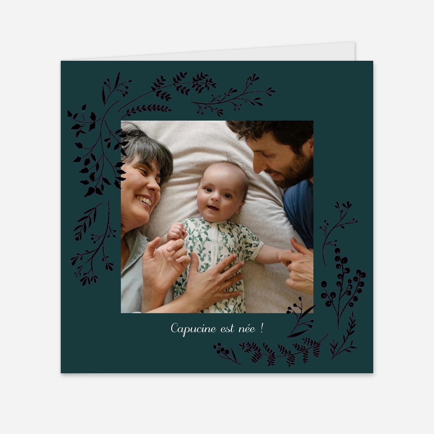 Faire-part naissance Brins d'hiver