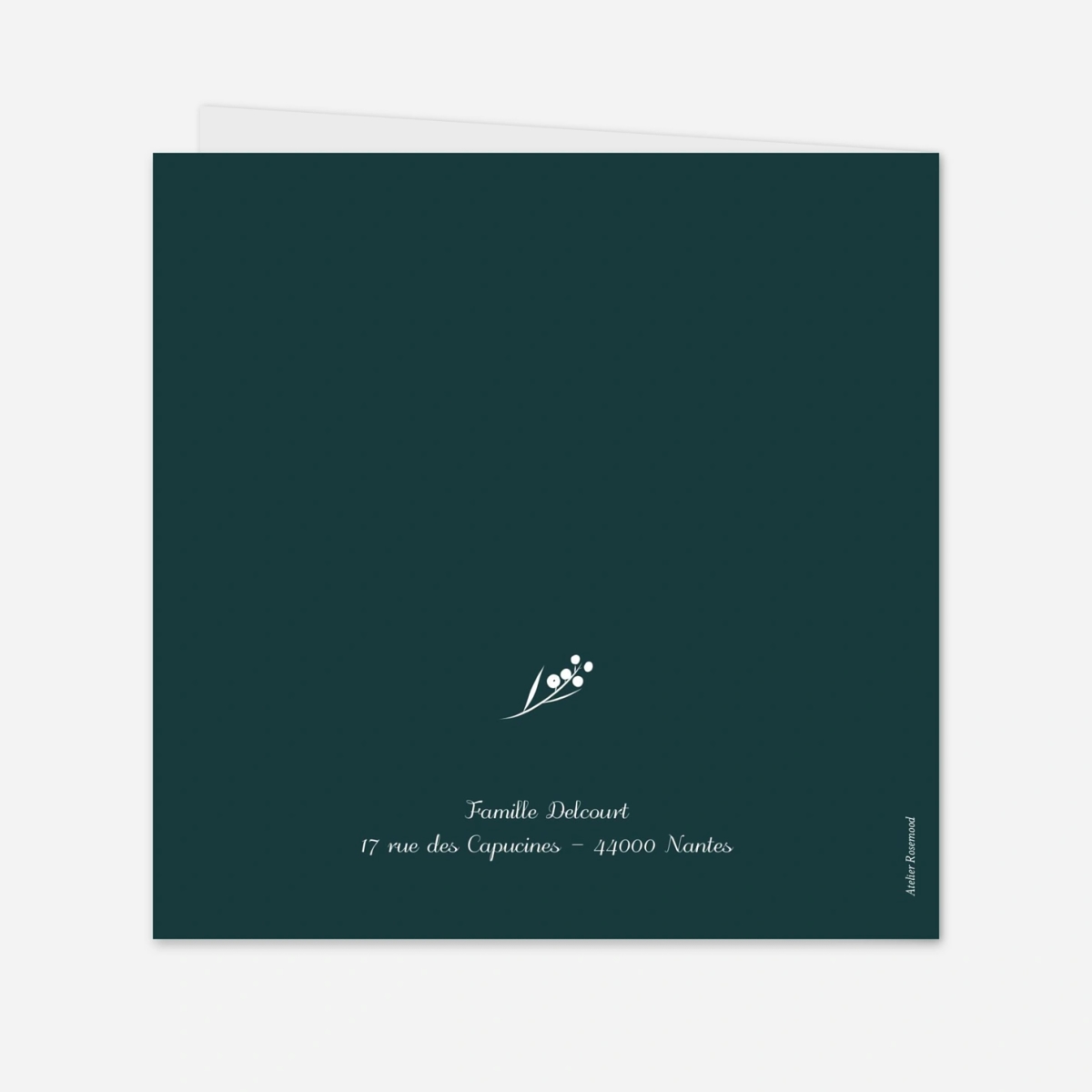 Faire-part naissance Brins d'hiver