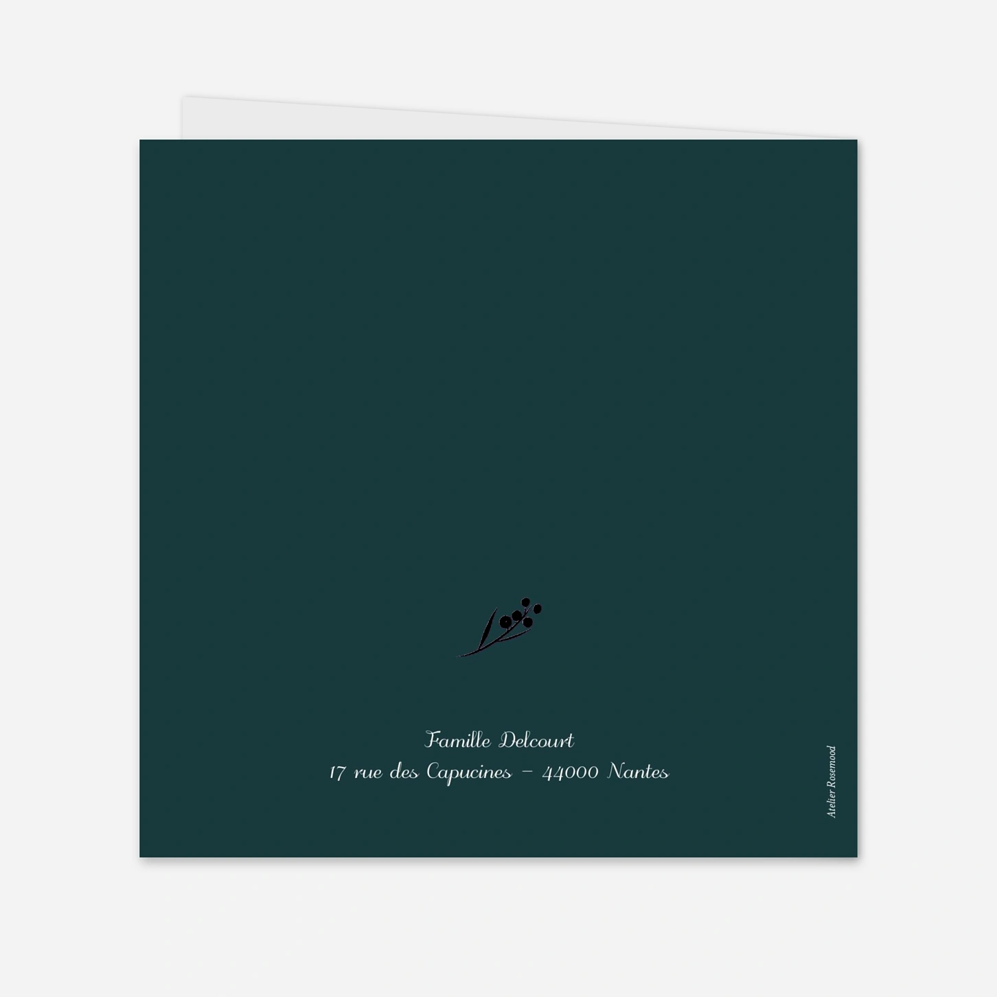 Faire-part naissance Brins d'hiver