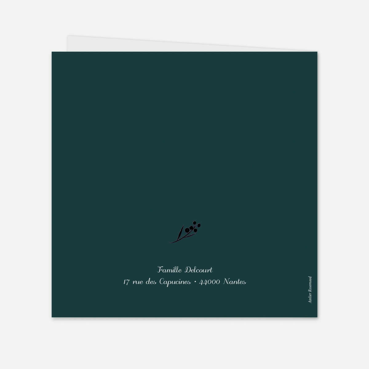 Carte de voeux Brins d'hiver