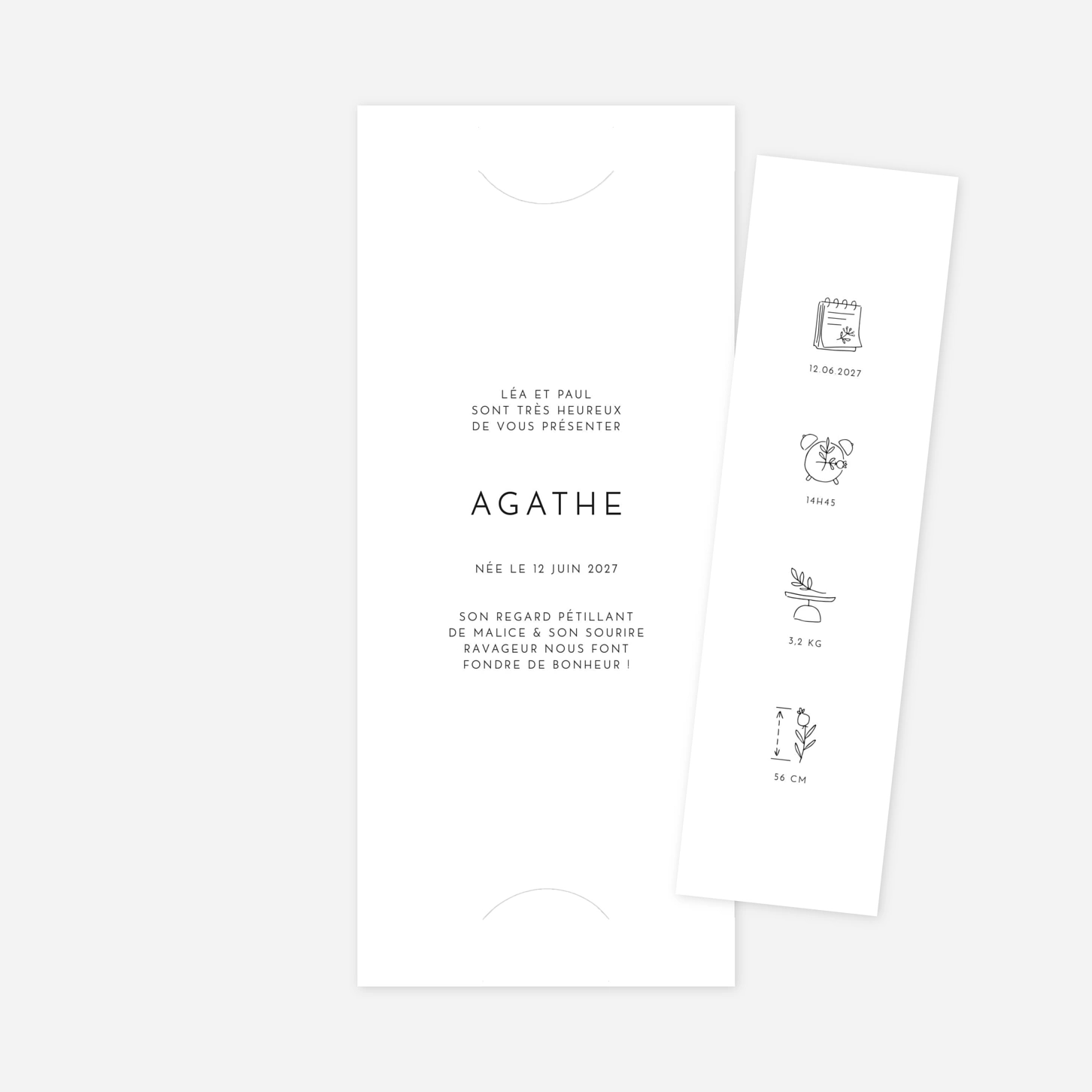 Faire-part naissance Cartouche pictos