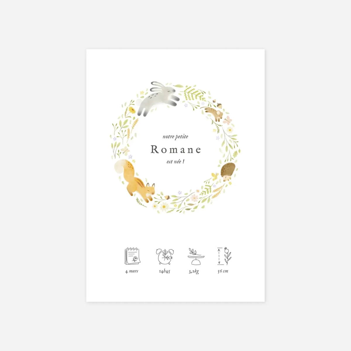 Faire-part naissance Comptine des animaux