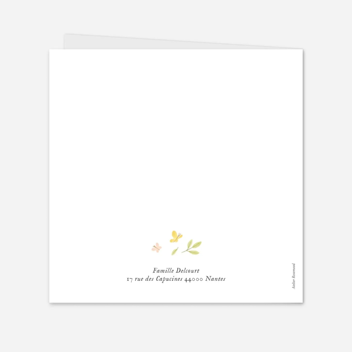 Faire-part naissance Comptine des animaux