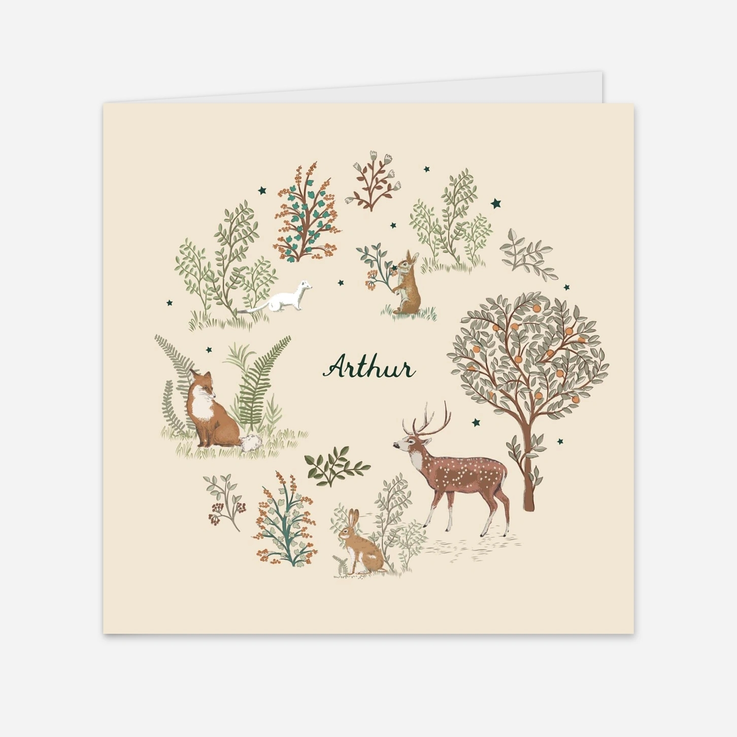 Faire-part naissance Conte de Noël