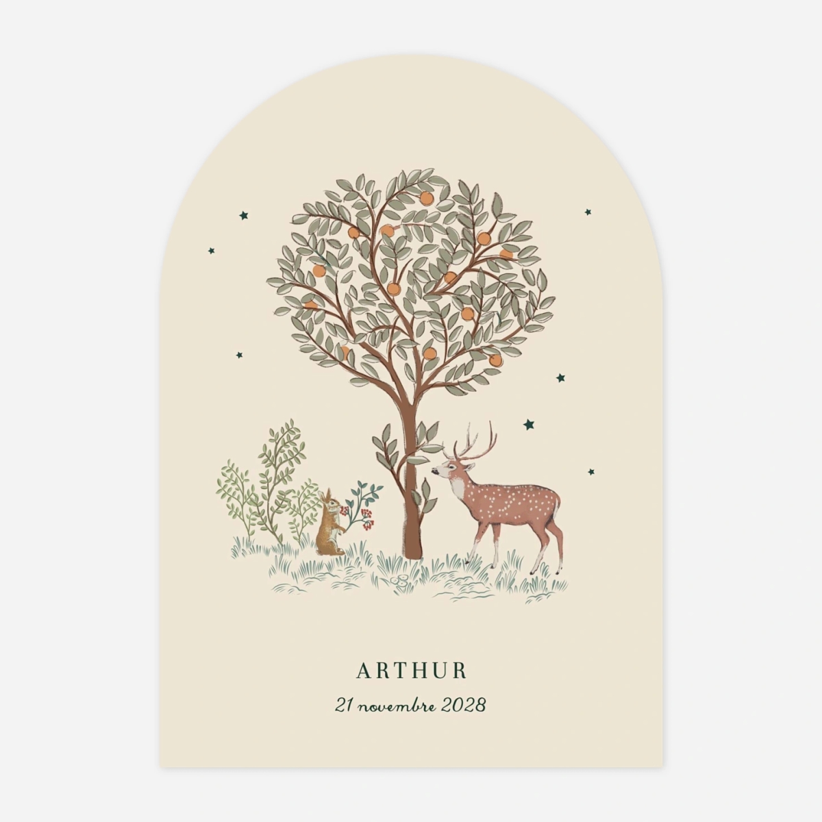 Faire-part naissance Conte de Noël