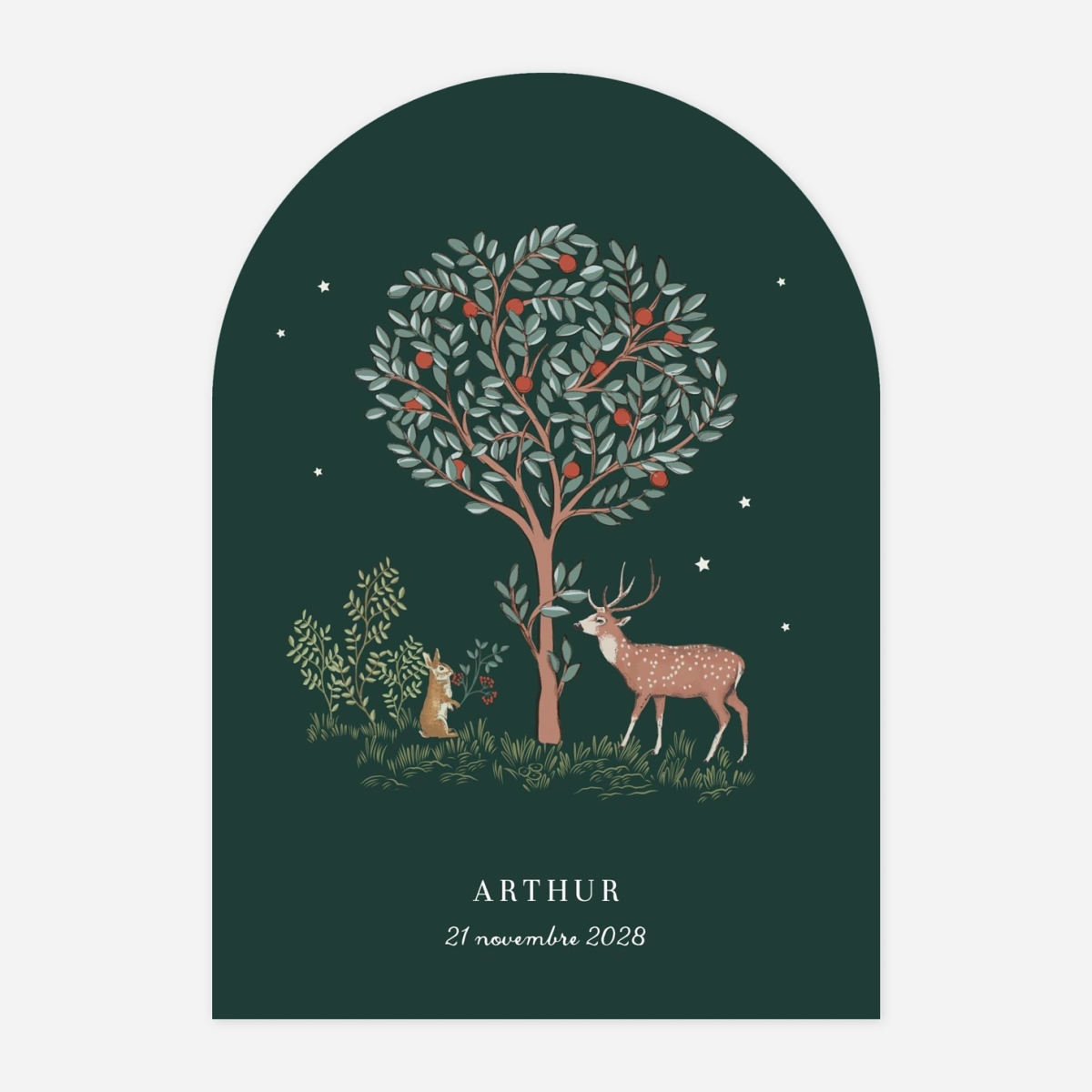 Faire-part naissance Conte de Noël