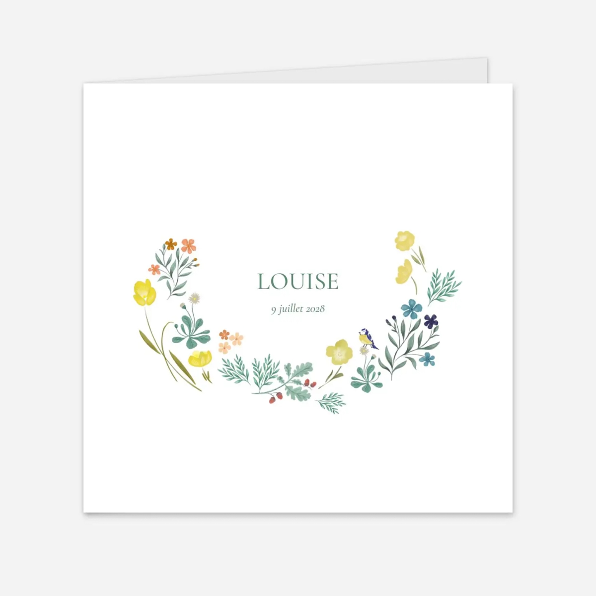 Faire-part naissance Champêtre