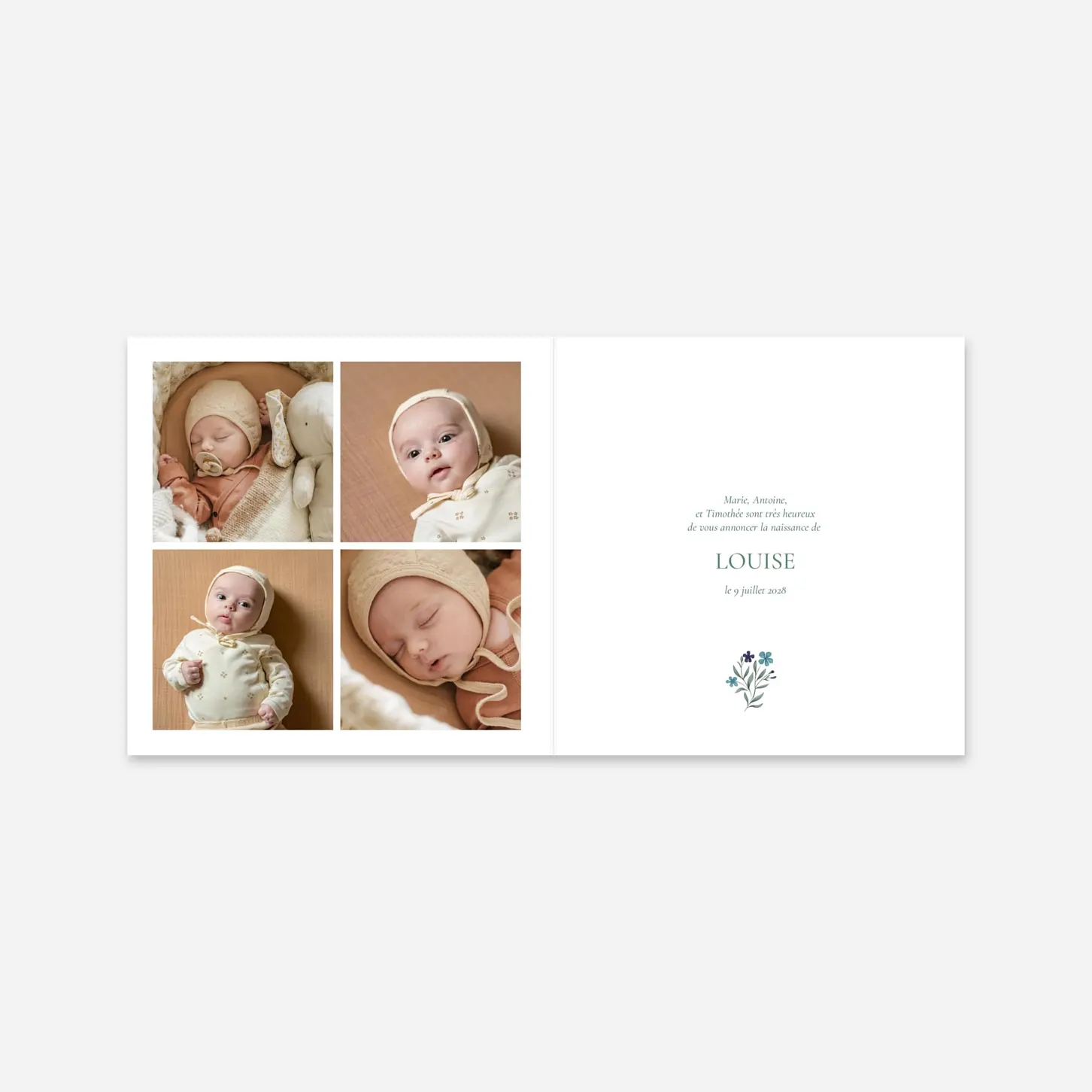 Faire-part naissance Champêtre