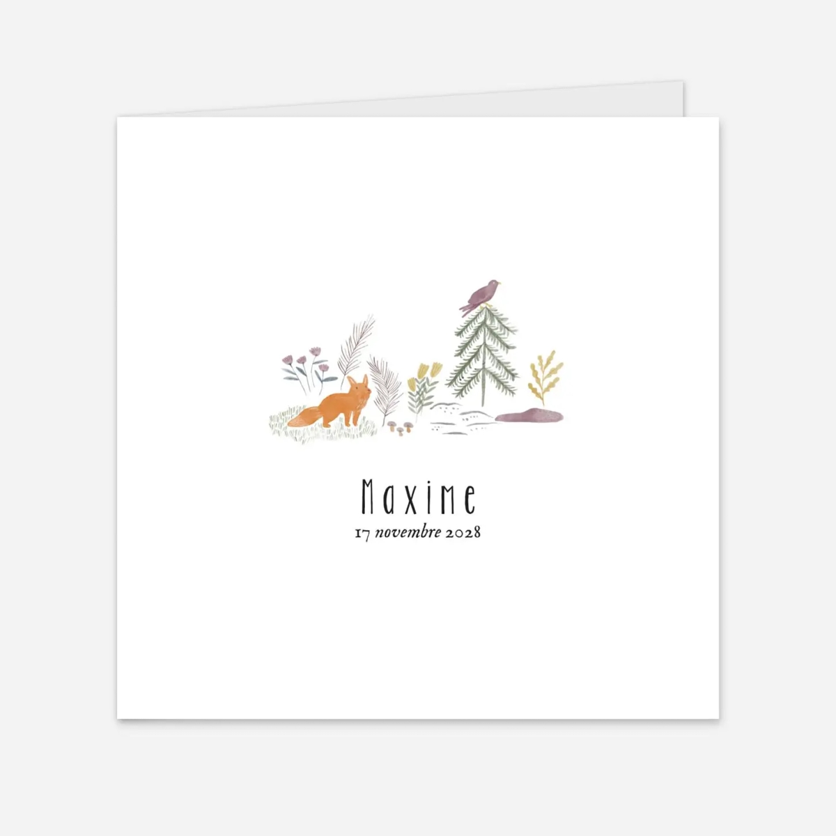 Faire-part naissance Conte aquarelle