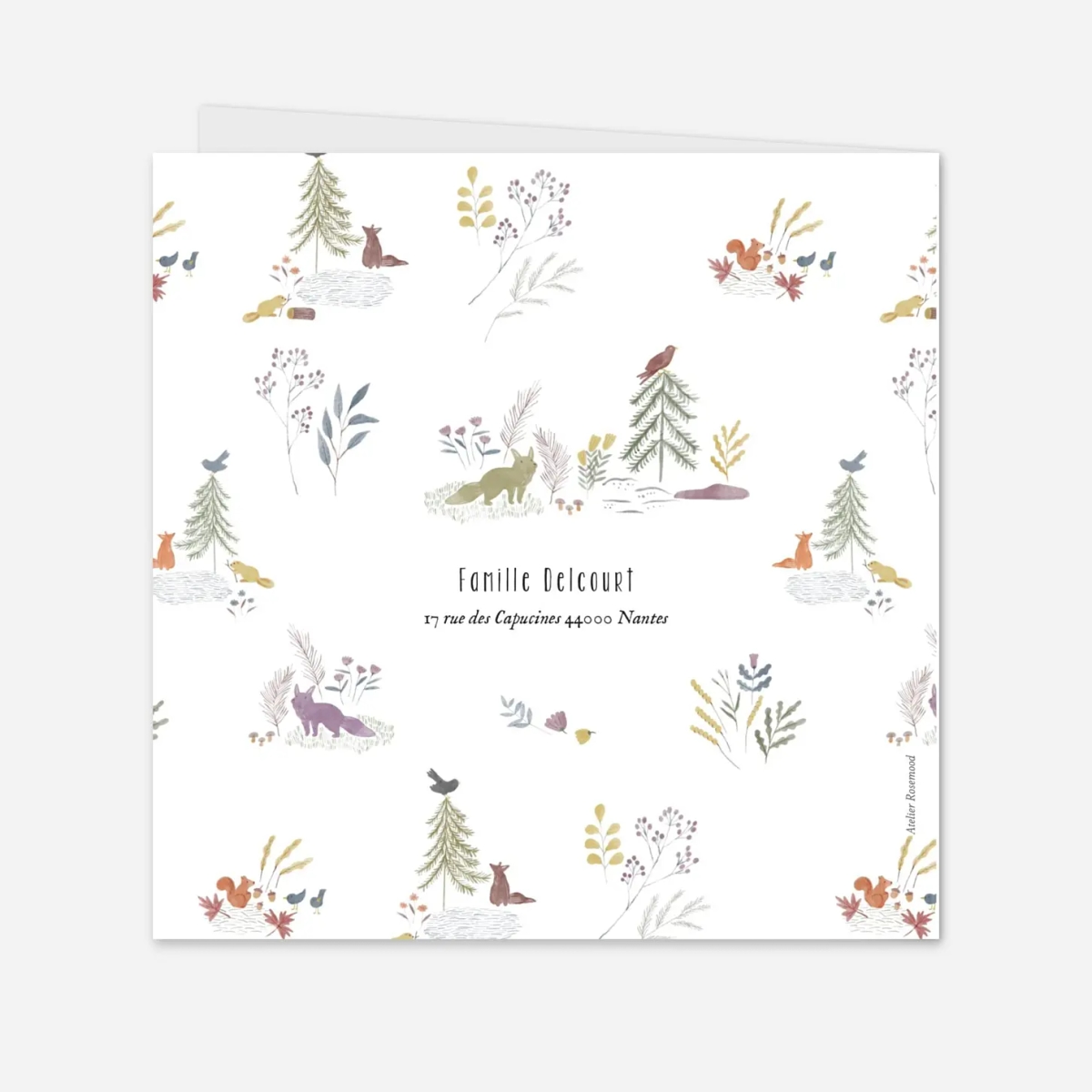 Faire-part naissance Conte aquarelle