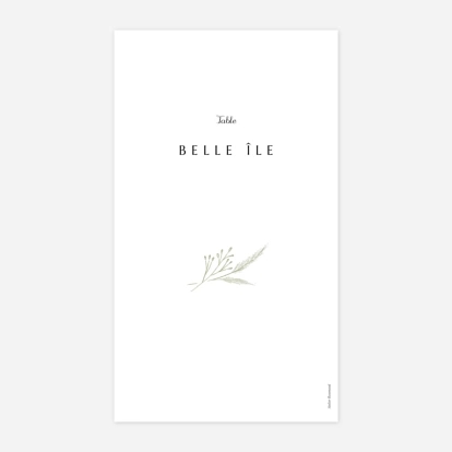 Délicats feuillages