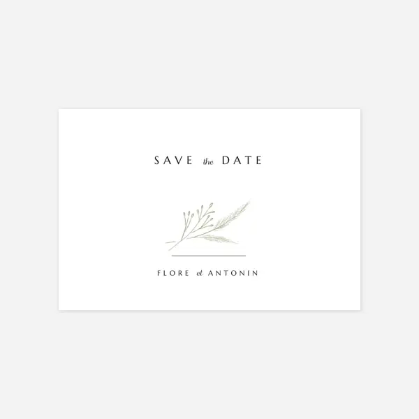 Délicats feuillages