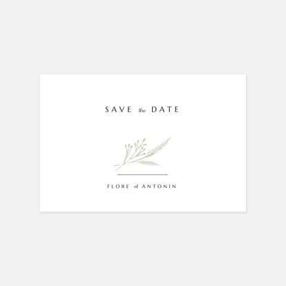 Délicats feuillages