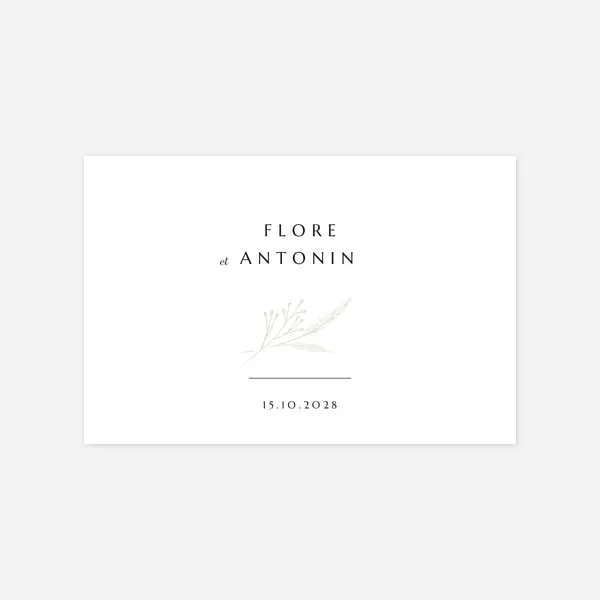 Délicats feuillages