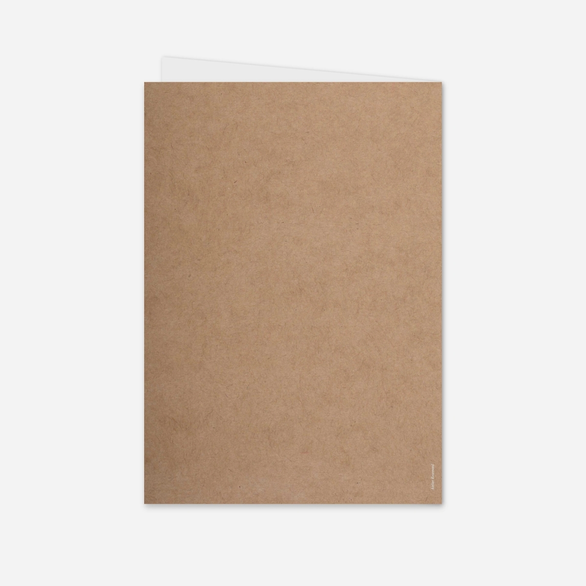 Livret de messe baptême Brin d’olivier