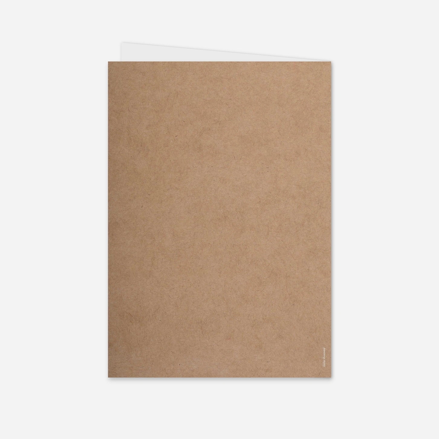 Livret de messe baptême Brin d’olivier