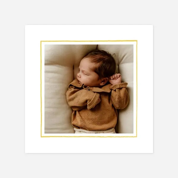 Éléphants en famille