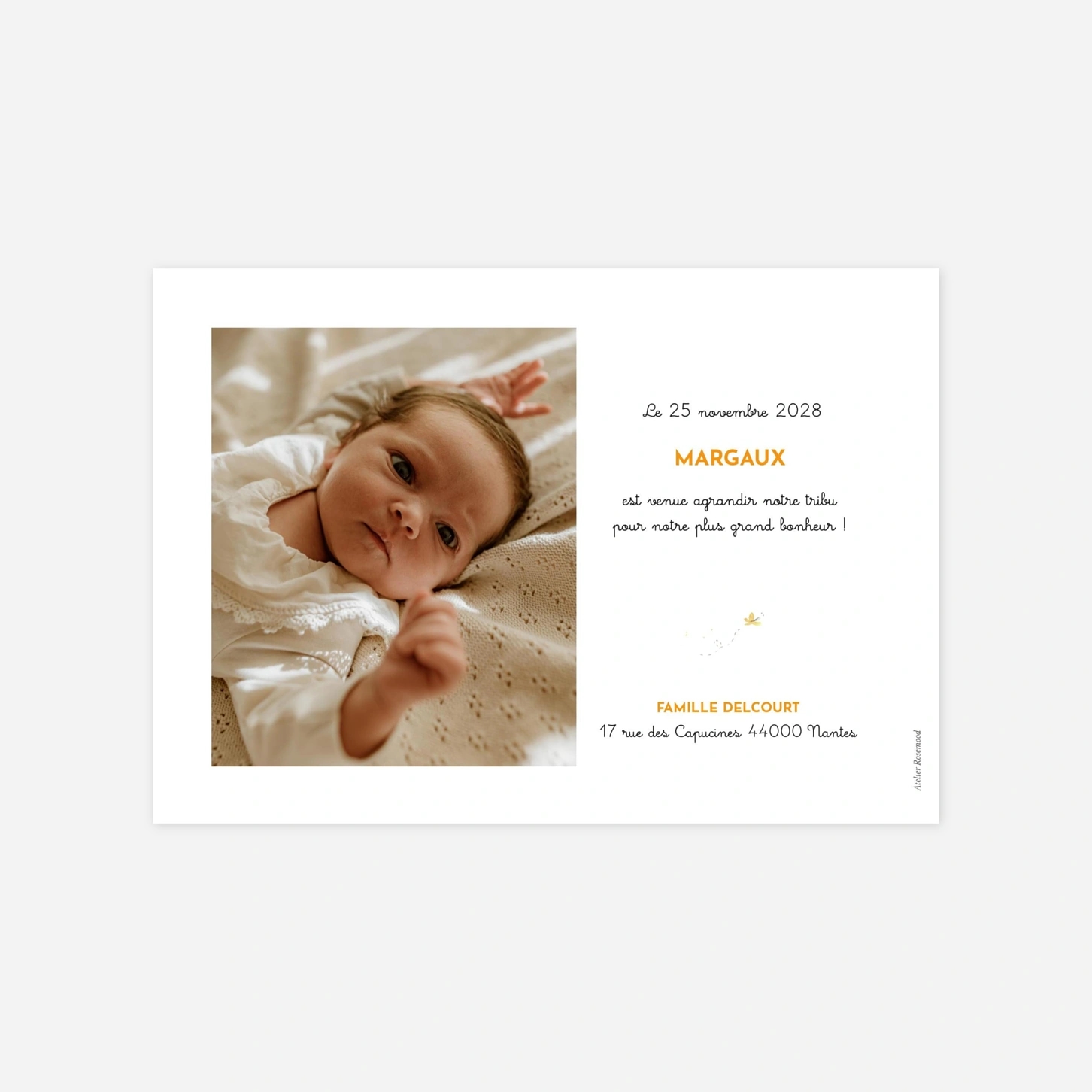 Faire-part naissance 4 éléphants en famille