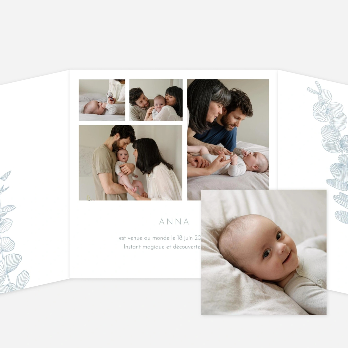 Faire-part naissance Envolée d'eucalyptus