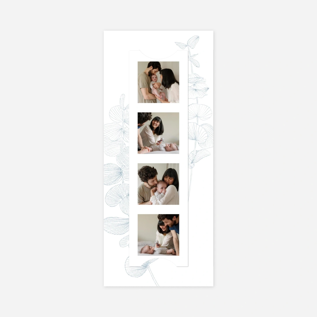 Faire-part naissance Envolée d'eucalyptus