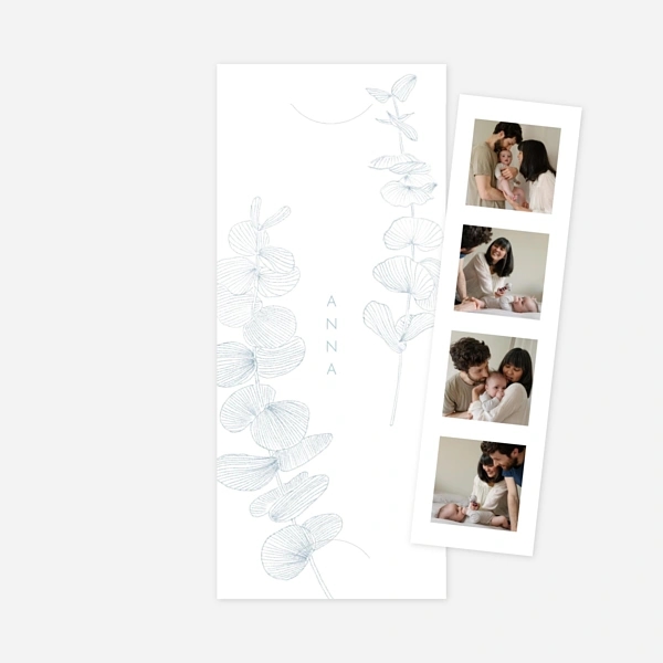 Envolée d'eucalyptus