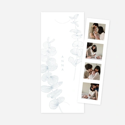 Envolée d'eucalyptus