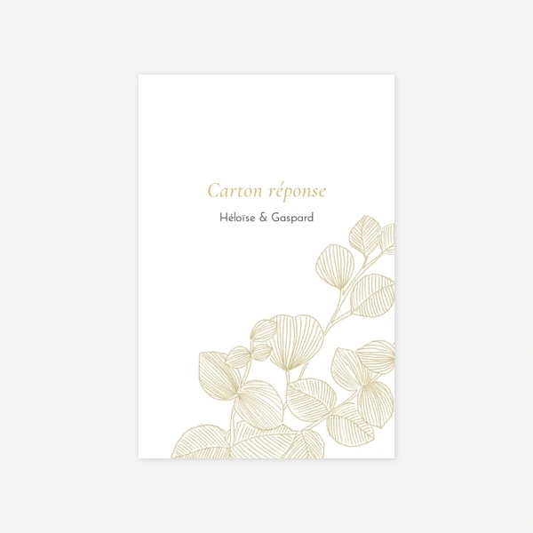 Envolée d'eucalyptus