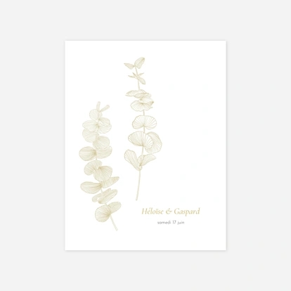 Envolée d'eucalyptus