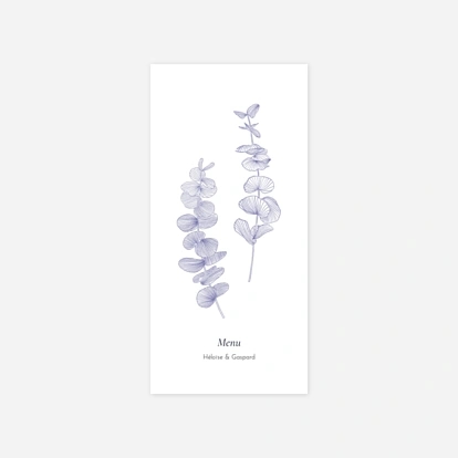 Envolée d'eucalyptus