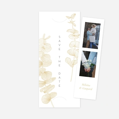 Envolée d'eucalyptus