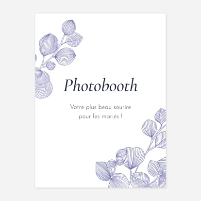 Envolée d'eucalyptus