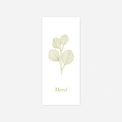 Envolée d'eucalyptus