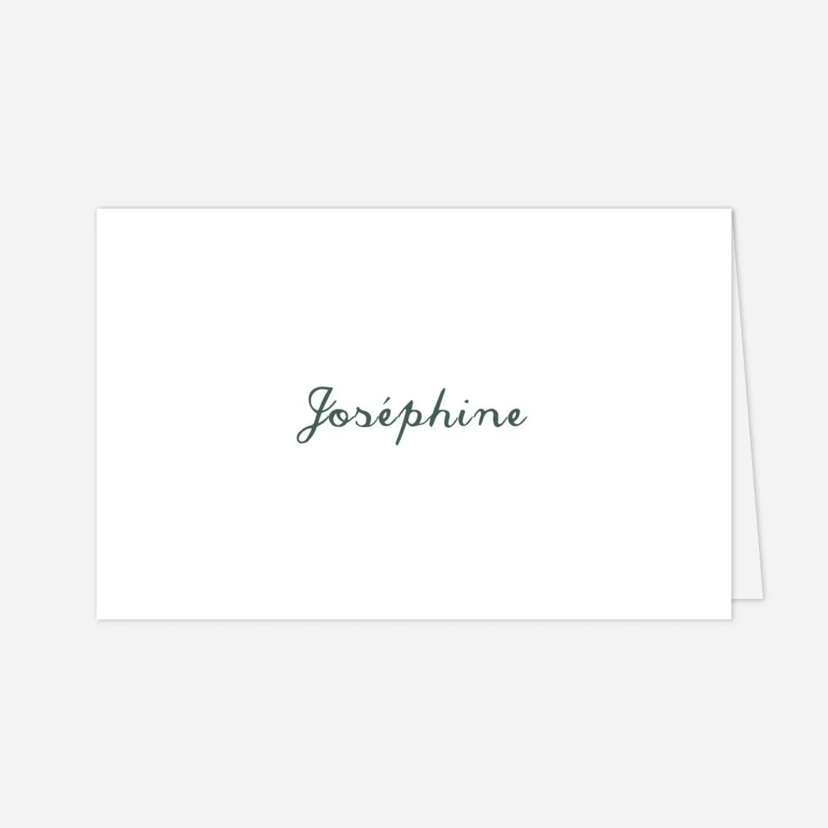 Marque-place mariage Eucalyptus