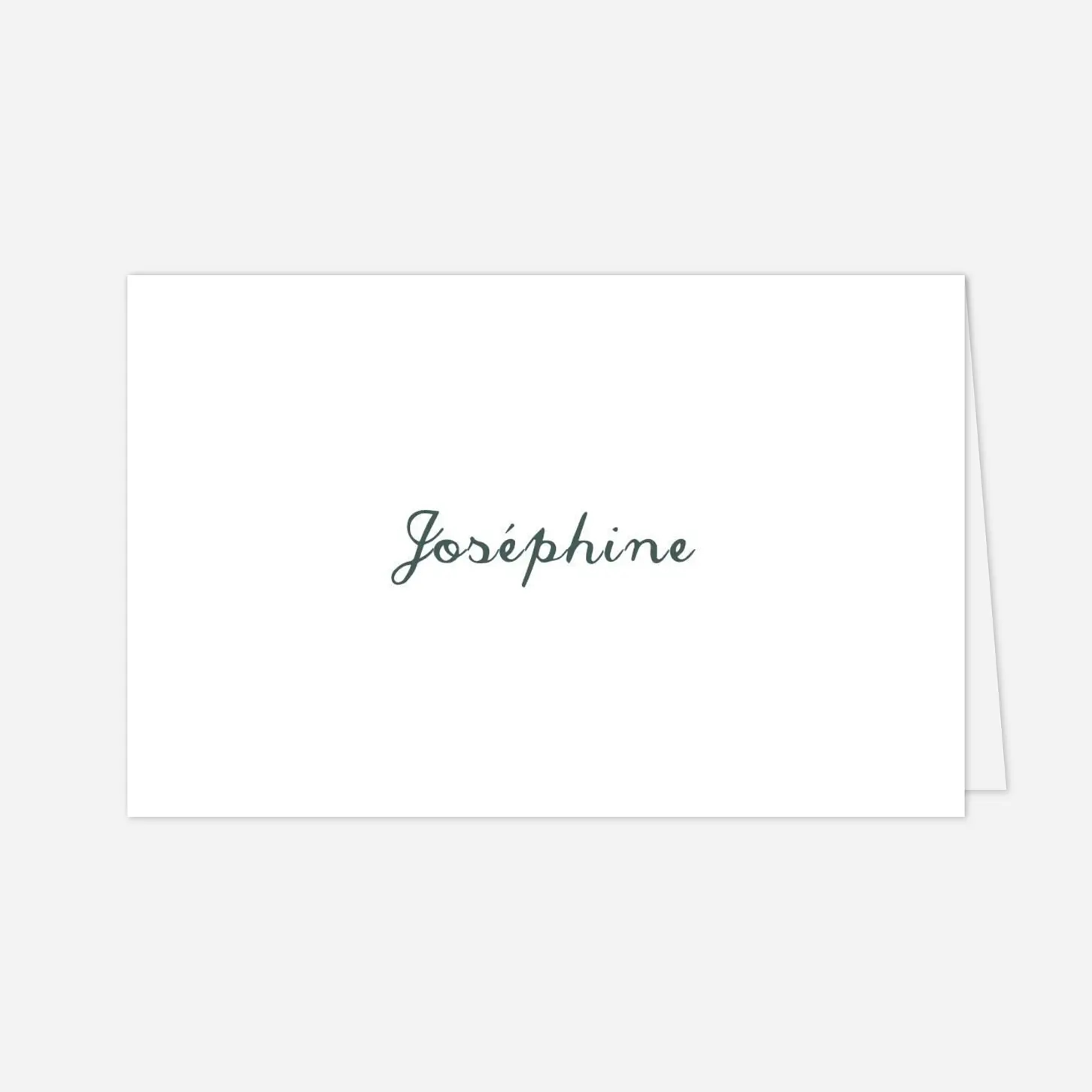 Marque-place mariage Eucalyptus