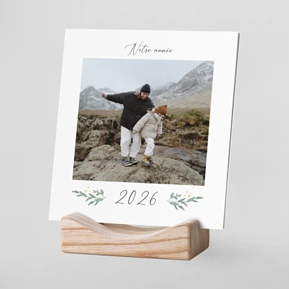 Eucalyptus élégant