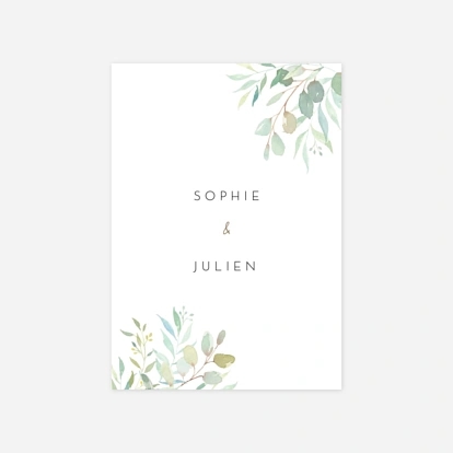 Feuillage eucalyptus