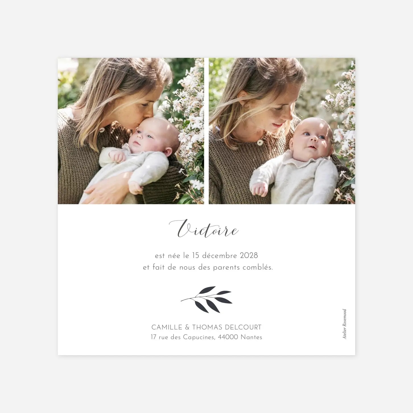 Faire-part naissance Feuille d'or cartouche